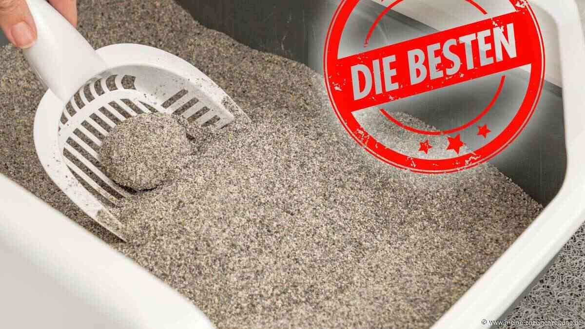 Diese Produkte überzeugen im Katzenstreu-Test