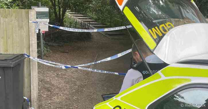 Boy, 16, arrested on suspicion of rape in park