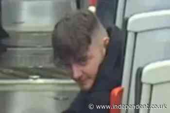 Police issue appeal after man ‘sexually assaulted teenage girl on train’