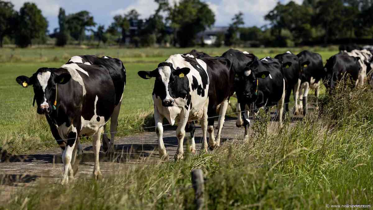 SER adviseert oprichting van een organisatie om de stikstofdoelen te halen