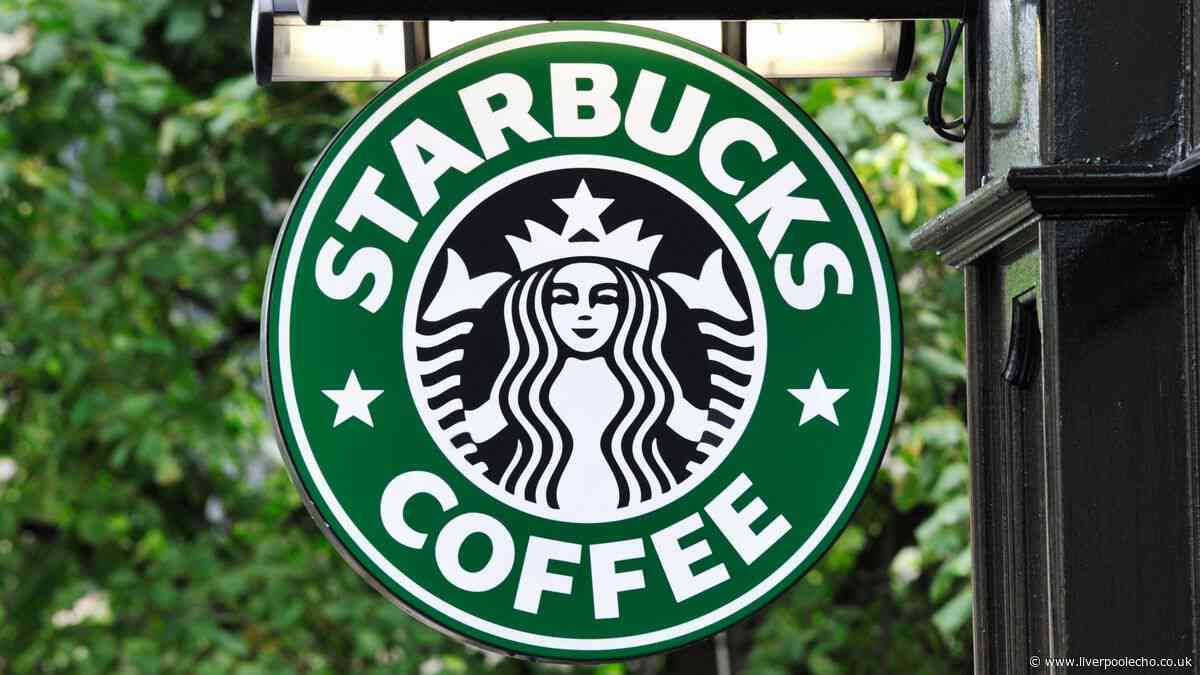 Starbucks customers rush to buy new bearista drinks cup now selling for £145 on eBay