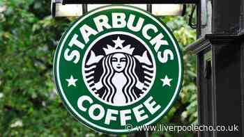 Starbucks customers rush to buy new bearista drinks cup now selling for £145 on eBay