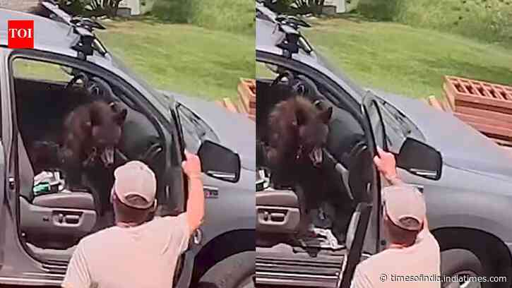 Man opens truck door to find a bear sitting in the front seat; what he did next leaves internet amazed