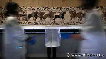 Bayeux Tapestry tickets sell out 'like Glastonbury' as museumgoers forced to wait until NEXT YEAR amid mad rush