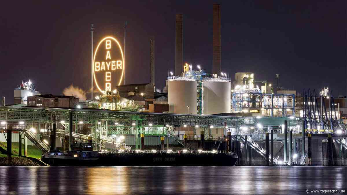 Kurserholung: Bayer-Aktie schafft es an die DAX-Spitze