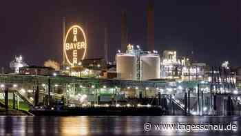 Kurserholung: Bayer-Aktie schafft es an die DAX-Spitze