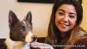 'Our puppy died at the Lake District - we're warning all dog owners to look out for one thing'