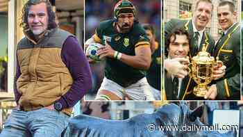 'I'm not a fan of Maro Itoje. What is he?' Springbok legend VICTOR MATFIELD on captain's flaws, the England star he rates, Henry Pollock's antics, Elon Musk and selling a buffalo to South Africa's president