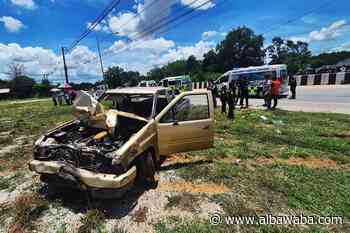 Eight monks killed after 11-year old drives truck into procession
