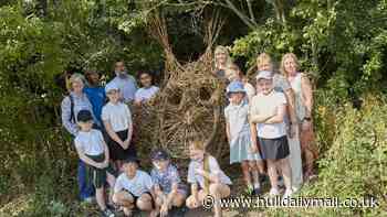 Creative students bring new artistic appeal to Hessle's Bridgehead woodland nature trail