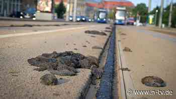 Weiße Schienen nicht effektiv: Warum Hitze für Bahngleise ein Problem ist