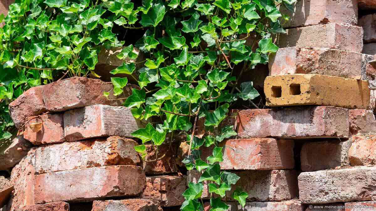 Alte Dachziegel nicht wegwerfen – als Recyclingmauer werden sie zum Biotop für Ihren Garten