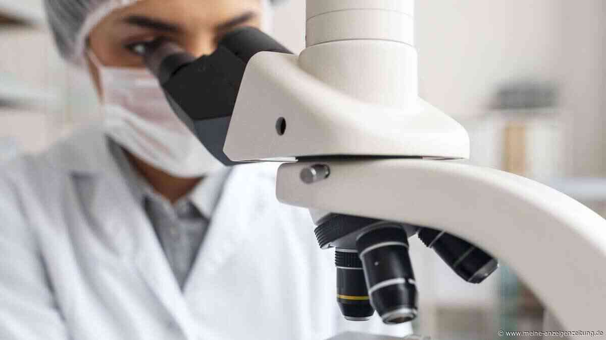 „SpudCell“ aus dem Labor: Künstliche Zelle kann wachsen, Erbgut vervielfältigen und sich teilen