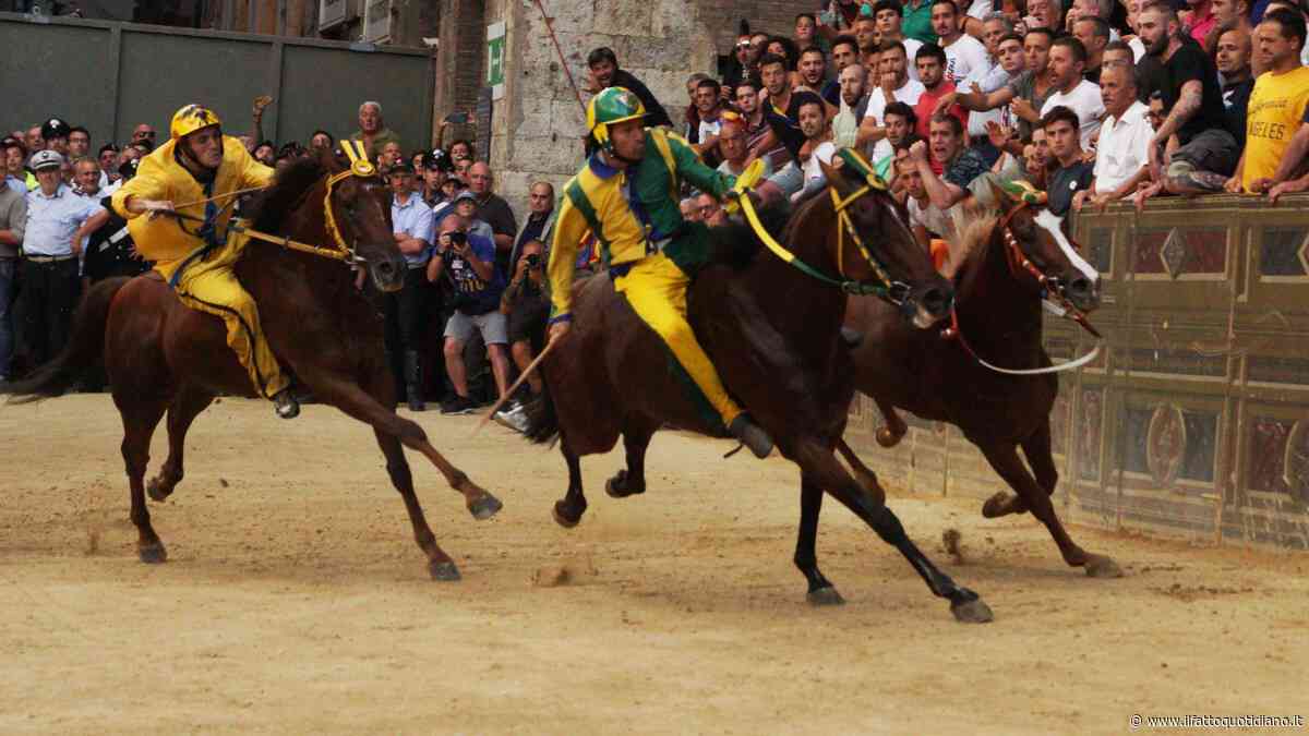 Palio di Siena 2026, oggi la Carriera della Madonna di Provenzano: c’è l’incognita meteo | Orario e dove vederlo in tv