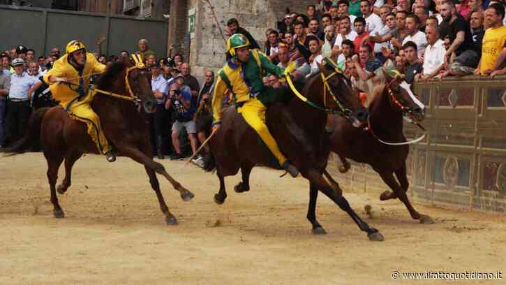 Palio di Siena 2026, oggi la Carriera della Madonna di Provenzano: c’è l’incognita meteo | Orario e dove vederlo in tv
