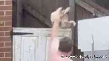 Shocking moment man throws dog over Bristol garden gate
