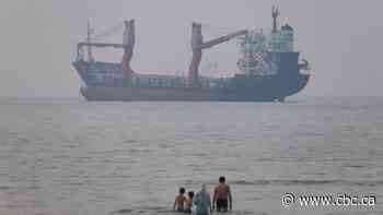 Iran warns oil tankers to use approved routes in Strait of Hormuz or face 'forceful response'