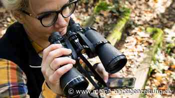 Birding boomt: Drei Tipps für Einsteiger