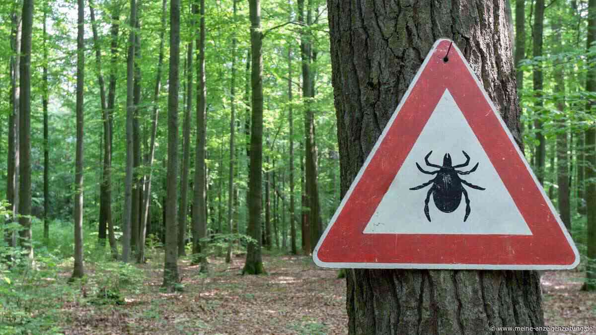 In diesen Bundesländern ist das Borreliose-Risiko am höchsten