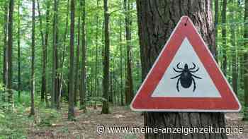 In diesen Bundesländern ist das Borreliose-Risiko am höchsten