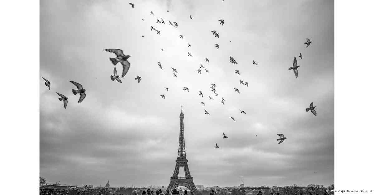 A Love Letter to Paris: Mathieu Bitton Brings Paris Blues to Chicago