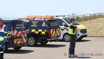 Managing director died falling 100 feet off cliff from roof of funicular railway while speaking to police, inquest hears