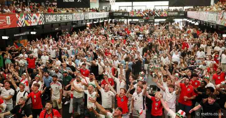 Pint throwing England fans are ruining the World Cup