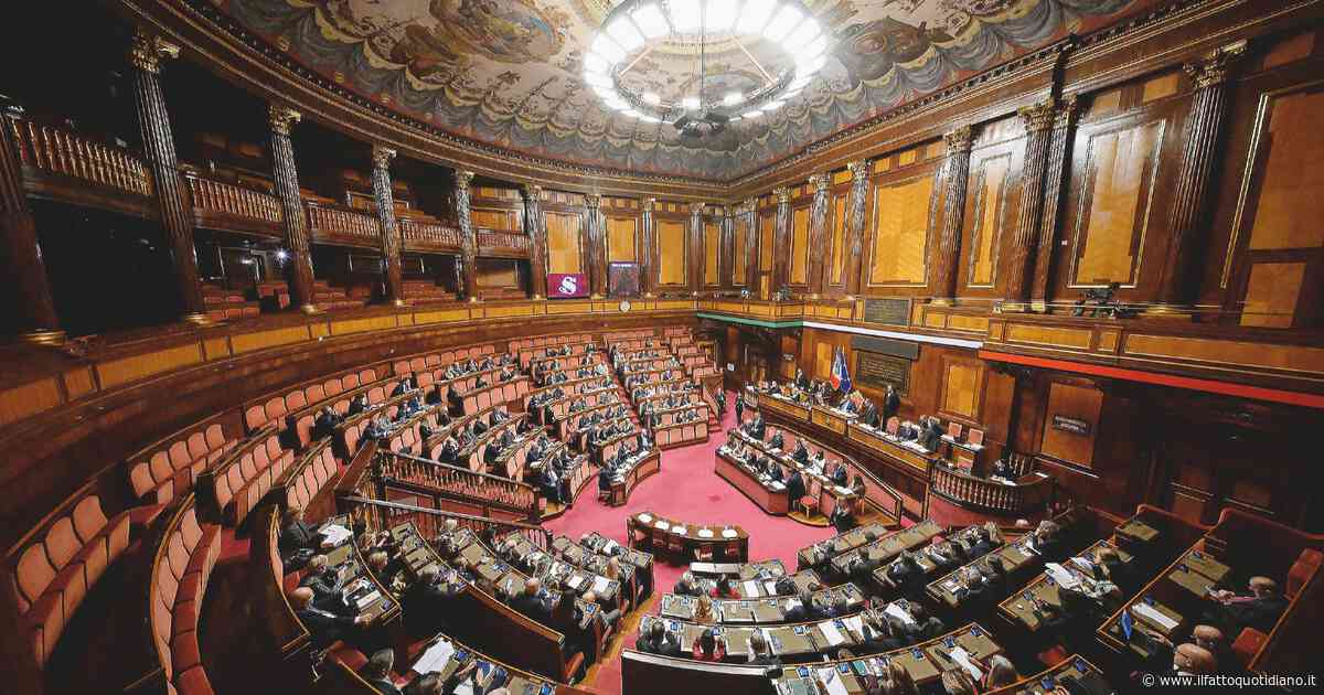 Al Senato il question time con i ministri Valditara, Urso e Schillaci: la diretta tv