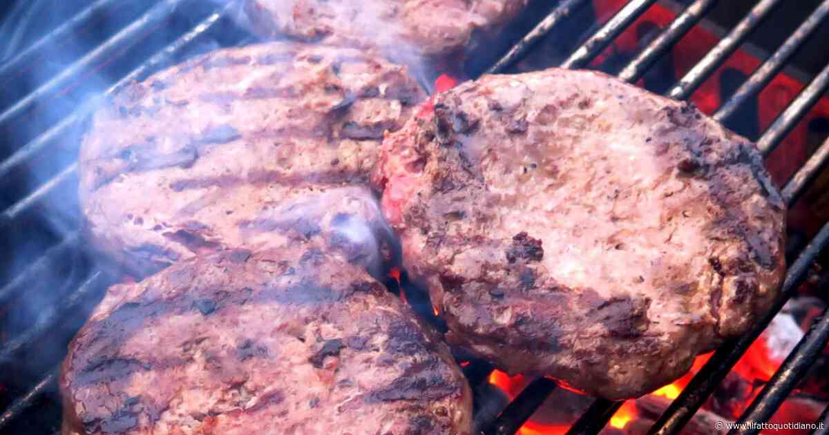 “Ho mangiato due hamburger e in uno c’era una setola della spazzola per pulire la griglia”: Noah, 17 anni, operato d’urgenza dopo la perforazione dell’intestino