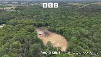Hoads Wood clear-up will leave 'sterile wasteland'