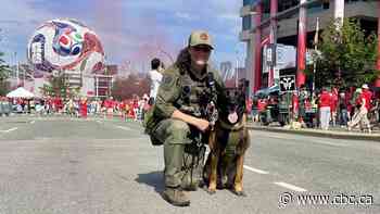 Meet the working security dogs of the FIFA World Cup in Vancouver
