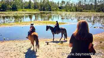 Horseback riding deep in the wilderness of Old Florida