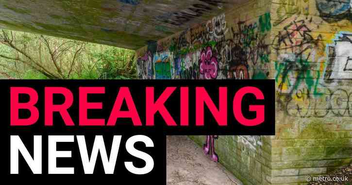 Boys who walked free after raping girls are jailed after appeal