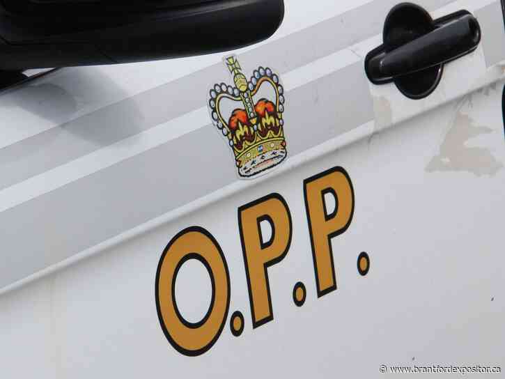 Ongoing harassment charge laid against Brant County man