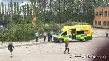 Three children rushed to hospital as tree falls on them in Birmingham school playground