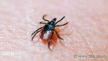 South West highest risk for tick bites and disease