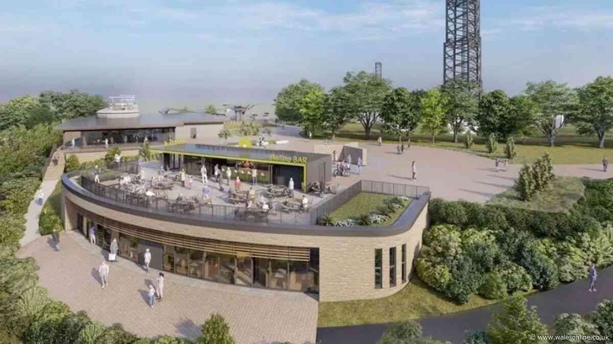 Council explains £10m deal to build gondola and zipline attraction on Swansea hill