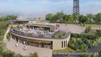 Council explains £10m deal to build gondola and zipline attraction on Swansea hill