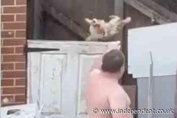 Man banned from keeping animals after being filmed throwing malnourished dog over 6ft gate