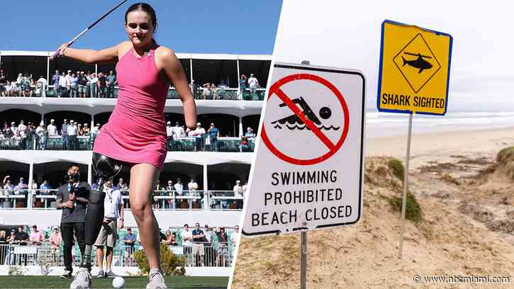 Florida shark attack on Alabama teen inspires start of national alert system