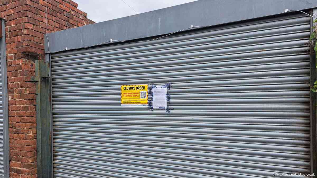 Sunderland police raid uncovers 800-plant cannabis farm worth up to £167,500
