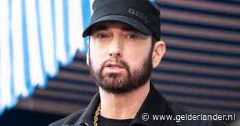 Eminem verliest strijd tegen Australisch zwemmerk Swim Shady