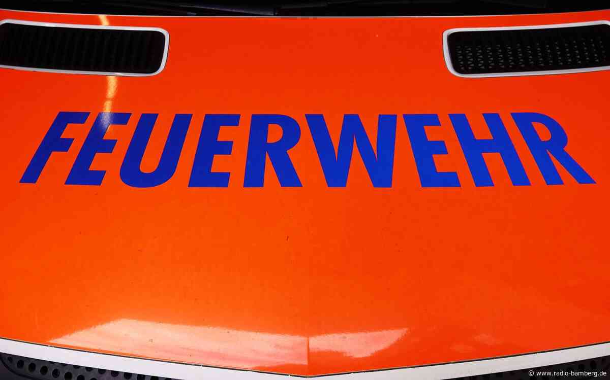 Geselliger Chinchilla wird Fall für die Feuerwehr