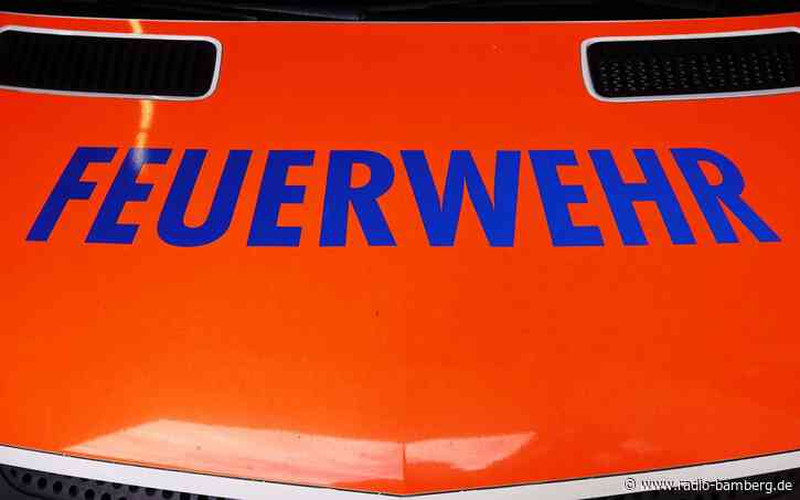 Geselliger Chinchilla wird Fall für die Feuerwehr