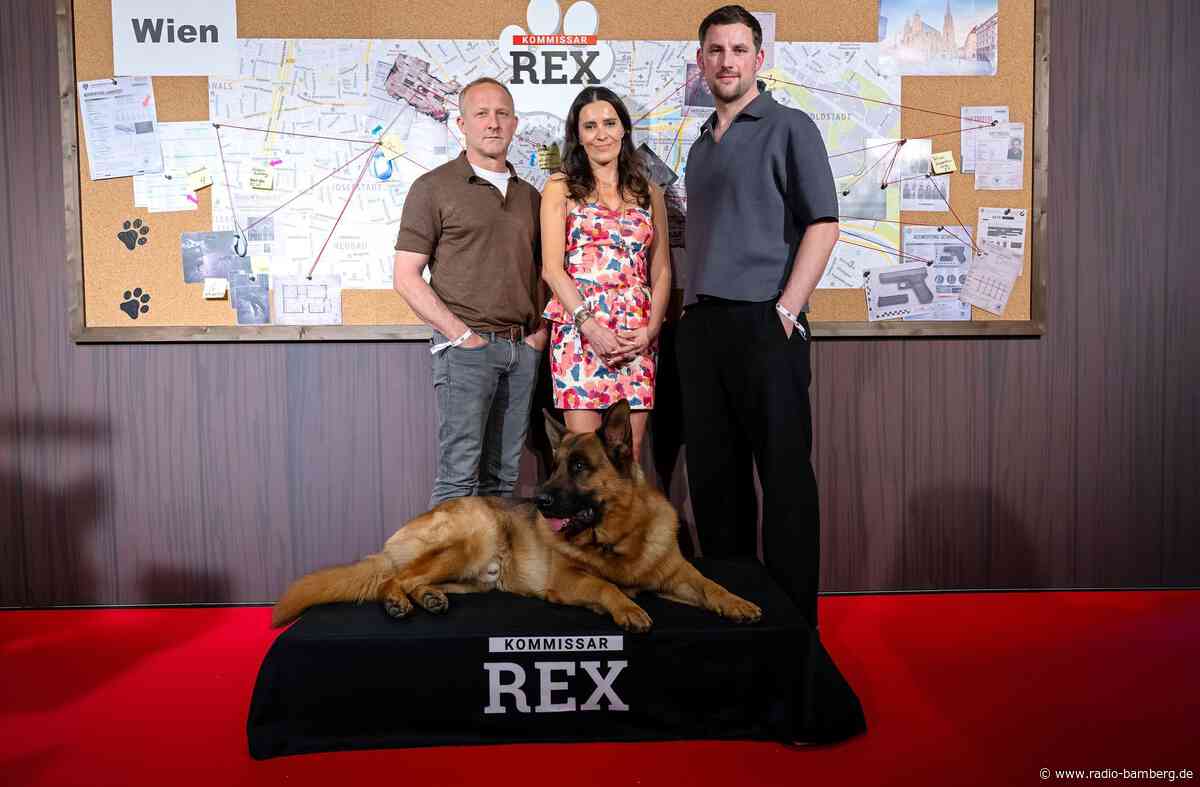 «Rex» bellt weiter in Wien, Joko & Klaas urlauben in Island