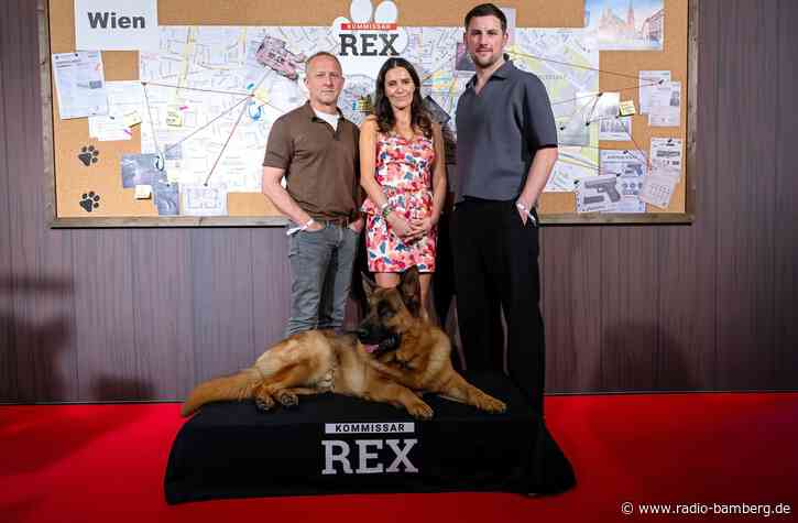 «Rex» bellt weiter in Wien, Joko & Klaas urlauben in Island