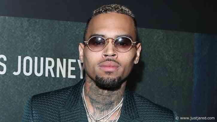 Chris Brown Ordered to Pay $13 Million to Former Housekeeper After She Was Mauled by His Dog