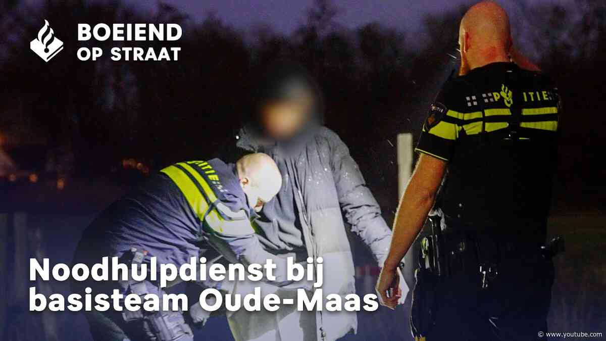 Verdachte situatie in weiland | Ontsnapte honden | Man zoekt de weg naar huis - Boeiend op Straat