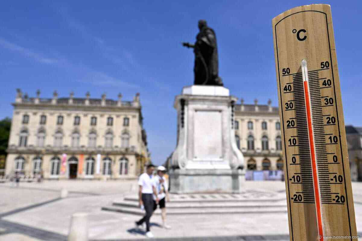 Canicule en France : les 40 °C dépassés dans plus de 80 départements au mois de juin