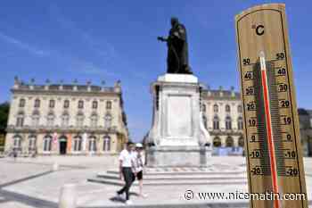Canicule en France : les 40 °C dépassés dans plus de 80 départements au mois de juin
